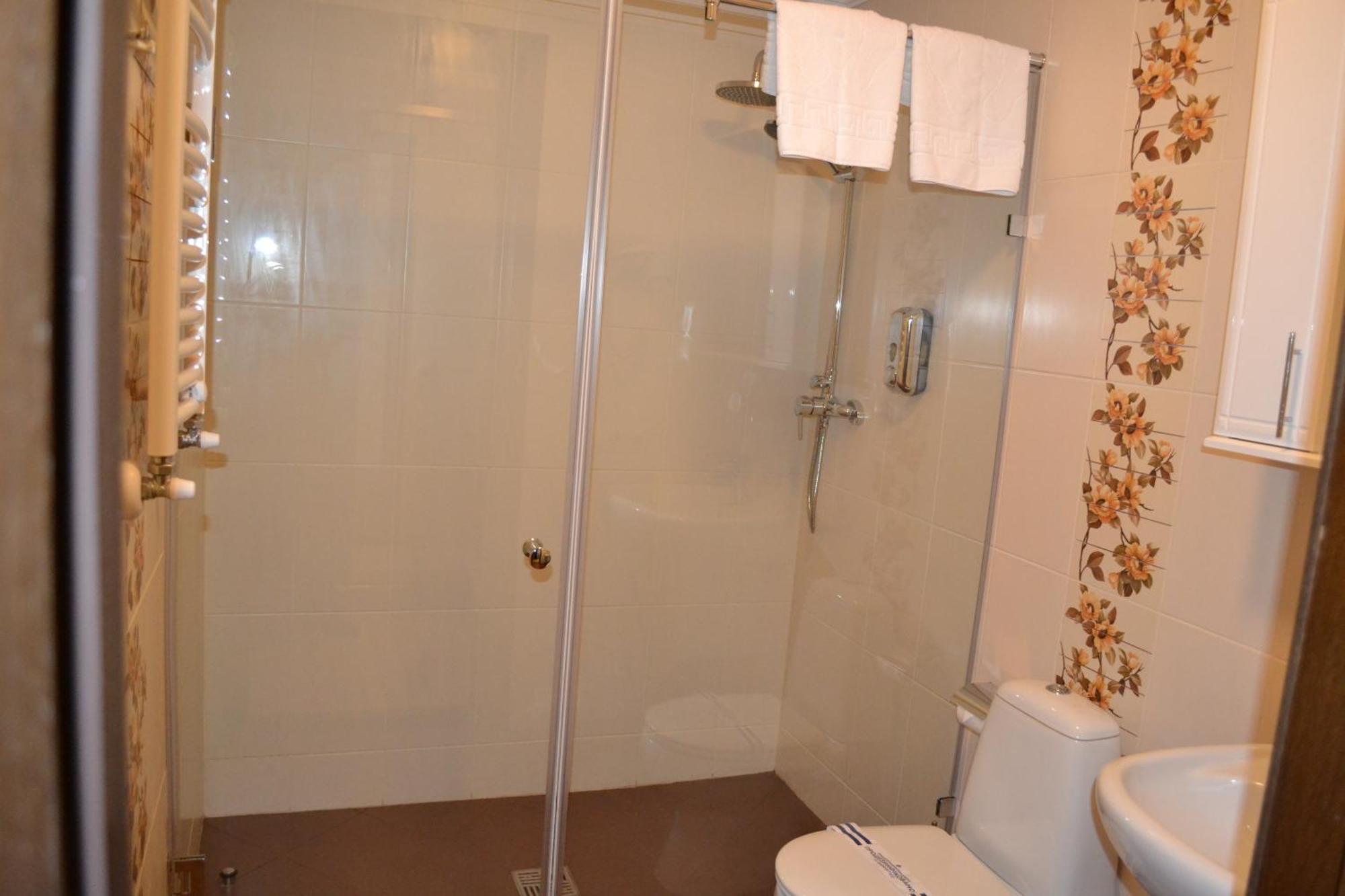 Zolota Forel Hotel Korostov Room photo